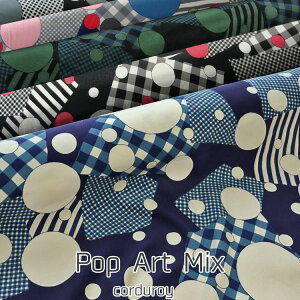 Pop Art Mixi|bvA[g~bNXjVcR[vg⁦106cm@Rbg100bR[fCn H~ VcR[fC R[en ׃R[n b