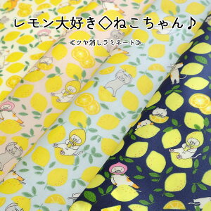 yۊzyc~l[gzD˂u[hvg⁦108cm@Rbg100@\Fcrj[R[eBO