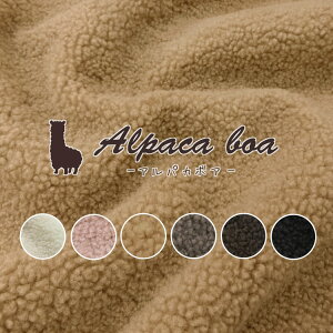 ӂӂAApJ{AnF140cm@|GXe100