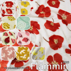 wFlammin 2025xit~2025jtlʃ{Avg65cm@|GXe100