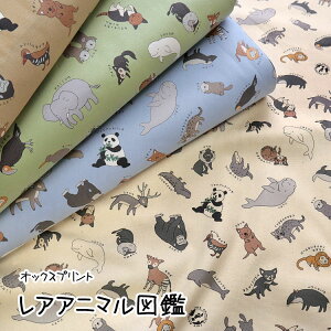 AAj}}ӁIbNXvg⁦110cm@Rbg100 bǂԂ  n z w j̎q ̎qb