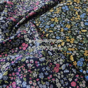 Vht[VcR[vg⁦104cm@Rbg100bR[fCn H~ VcR[fC R[en ׃R[n ԕb