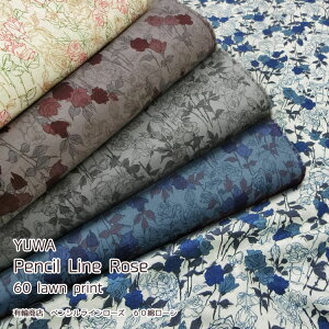 YUWAPencil Line RoseiyVC[Yj60ȃ[vg⁦106cm@Rbg100