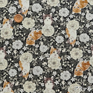 Ԕ̎qLIbNXvg⁦108cm@Rbg100bL ˂ lR 킢 n z wɂb