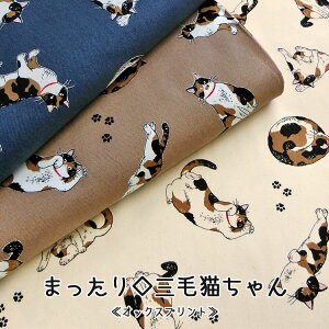 ܂聞OєLIbNXvg⁦108cm@Rbg100bL ˂ lR 킢 n z wɂb