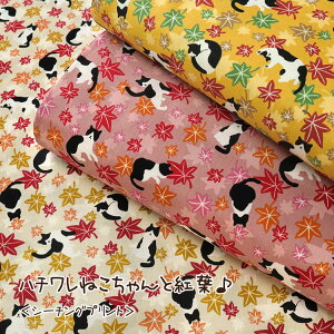 n`˂ƍgtV[`Ovg⁦106cm@Rbg100b˂ lR L ~W w n z b