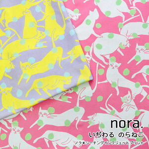 ynora.z ̂˂V[`OCNWFbgvg⁦106cm@Rbg100b˂ L lR 킢 Aj} n zb