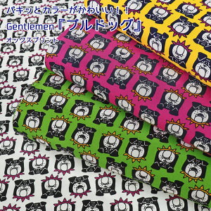 pLbƃJ[킢II GentlemenwuhbOxIbNXvg⁦108cm@Rbg100b}cP ܂ matsuke   Aj} 킢 n z wɂb