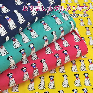 ܂_VAIbNXvg⁦108cm@Rbg100b 񂿂  킢 n z wɂ b