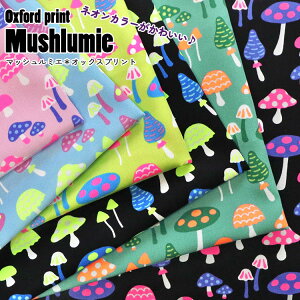 lIJ[킢wMushlumiexi}bV~GjIbNXvg⁦108cm@Rbg100b}cP ܂ yV n  uvg LmR ̂ wb