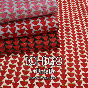 u[hnœo!!ICHIGOySmallziX[ju[hvg⁦106cm@Rbg100bC`S  Xgx[ k _ ̎q n zb