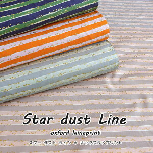 Star dust LineiX^[_XgCjIbNXvg⁦110cm@Rbg100b w X^[`[g {[_[b