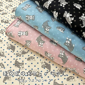 ق̂ڂ́ViIbNXvg⁦108cm@Rbg100bViEU[  񂿂   킢 n z wɂb