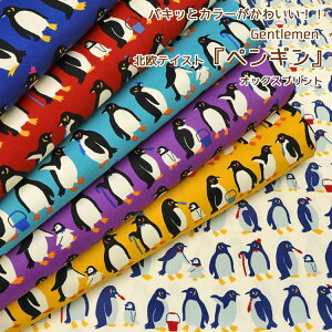 pLbƃJ[킢II GentlemenkeCXgwyMxIbNXvg⁦110cm@Rbg100byM C Aj} k 킢 n z wɂb