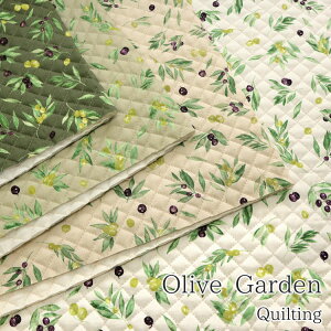 �����y�L���e�B���O�zOlive Garden�i�I���[�u �K�[�f���j��I�b�N�X�v�����g�⁦106cm���@�R�b�g��100���i���ȁF�|���G�X�e���j�b�y���[���ւ�50cm�i����1�j�܂Łz�L���g���n �L���e�B���O���n 