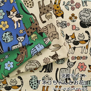 keCXgwlRƂԁxRbglLoX⁦108cm@Rbg85El15b}cP ܂ matsuke n z ȖLoX L lR  ԕb