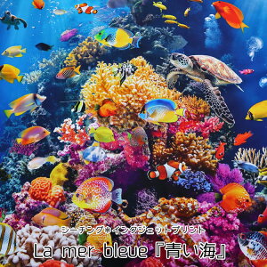 ����La mer bleue�w���C�x��V�[�`���O���C���N�W�F�b�g�v�����g�⁦108cm���@�R�b�g��100���b�C �� �^�R �J�� �T�� ������ ���A���v�����g ���n �z�b