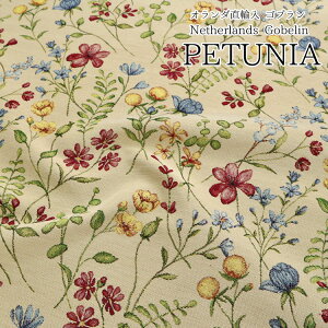 �y�I�����_���A���zGOBELINS�i�S�u�����j�wPETUNIA�x�i�y�`���j�A�j��65cm���|���G�X�e��60.17���E�R�b�g��2.6���E�A�N����18.3���E�R�b�g��RCS18.93��
