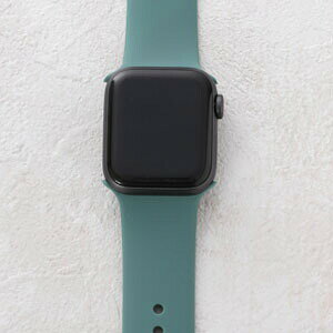 �A�b�v���E�H�b�` �o���h �P�F ���f�B�[�X ���� ������� Apple Watch SE 6 38mm 40mm 42mm 44mm ���킢�� �����݃J���[ �V���R�� ���o�[ ������� �j���A���X�J���[ ���W���[ �y�� ���� ���n �V���v