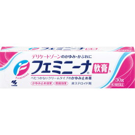 【第2類医薬品】小林製薬 フェミニーナ軟膏S 30g