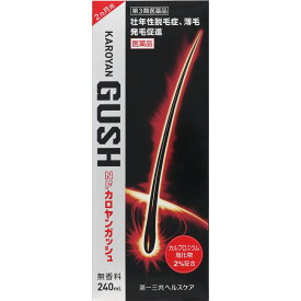 【第3類医薬品】第一三共ヘルスケア NFカロヤンガッシュ 240ml