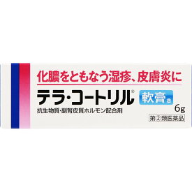 【第(2)類医薬品】アリナミン製薬 テラ・コートリル軟膏a 6g