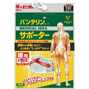 a oeT|[^[p^Cv u[O[ 傫