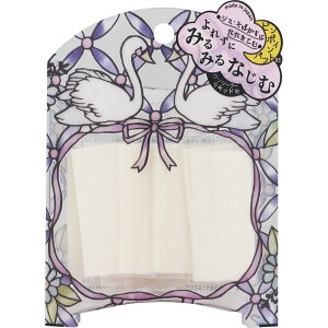 ΌX XEhE{[e V[gpt SWAN|05