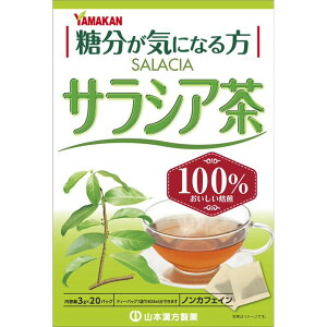 �R�{�������� �T���V�A��100�� 20��