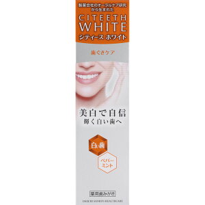 OwXPA VeB[XzCg PA 110g i򕔊Oij