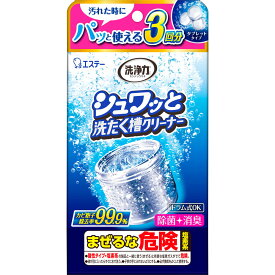 エステー 洗浄力 シュワッと洗たく槽クリーナー 除菌 消臭 個装タイプ 64g×3