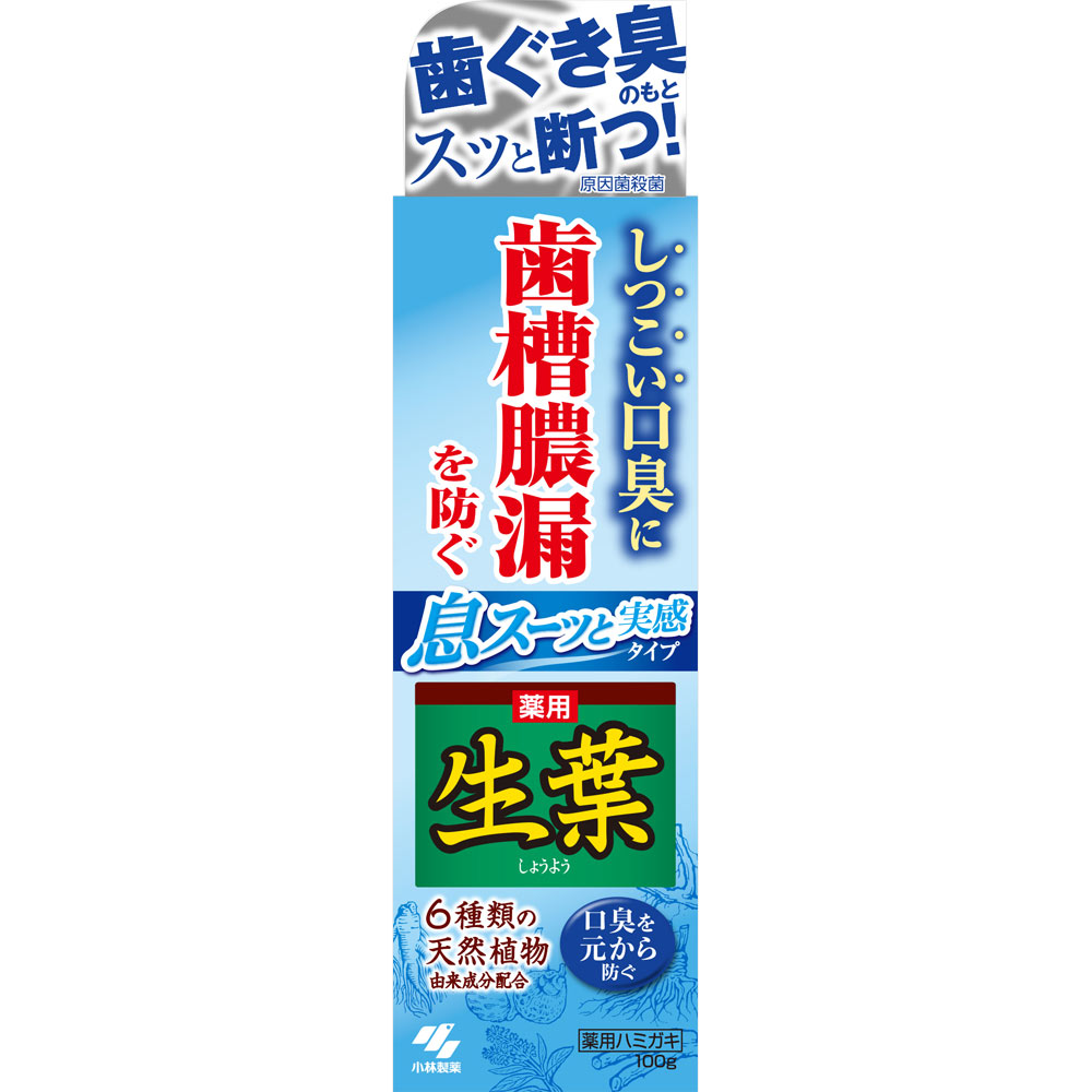 小林製薬の薬用ハミガキ「生葉EX」 100g ×