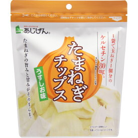 味源 たまねぎチップス 40g