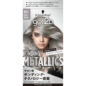 �w���P���W���p�� got2b �{���f�B���O�E���^���b�N�X �w�A�J���[ �V���o�[�u�����h 55g�{110mL�{15 �i��򕔊O�i�j