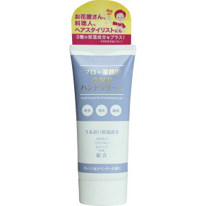 g{ vƖp ێnhN[ IWx_[ 60g