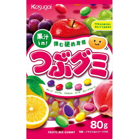 春日井製菓 つぶグミ 80g