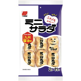 三幸製菓 ミニサラダ　九州醤油味 22枚