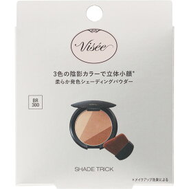 コーセー ヴィセシェードトリック300 8．5g