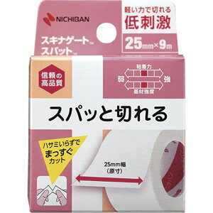 �j�`�o�� �X�L�i�Q�[�g �X�p�b�g SGS259 25mmX9mm