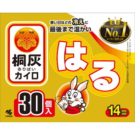 桐灰化学 桐灰 はる 30P