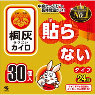 小林製薬 桐灰 はらない 30P