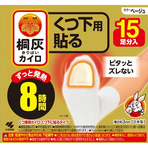 ѐ ˊDJCp \ܐ x[W 15P