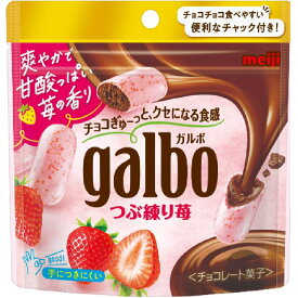 明治（旧明治製菓） ガルボつぶ練り苺パウチ 58g