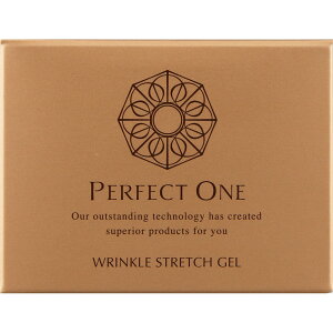 V{򊔎 p[tFNg@pNXgb`WFa 50g i򕔊Oij