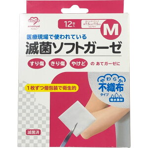 q AWXgŋۃ\tgK[[M 12