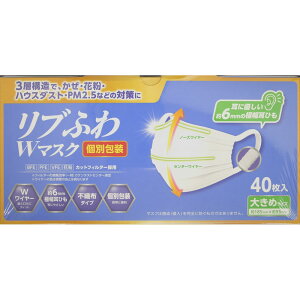 uӂW}XN傫߃TCY@ 40