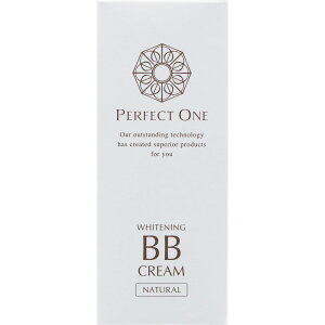 V{򊔎 p[tFNg pzCgjO BBN[ i` N 25g i򕔊Oij
