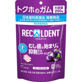 モンデリーズ・ジャパン リカルデント　グレープミントガム　スタンドパウチ 250g