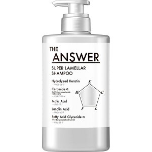 ԉ THE@ANSWER@X[p[Vv[@|v 400mL