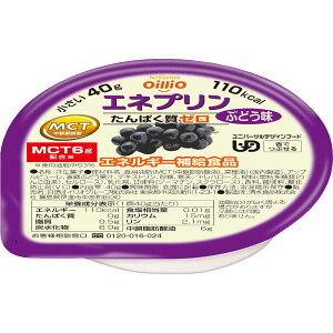 ICIO[v GlvԂǂ 40g